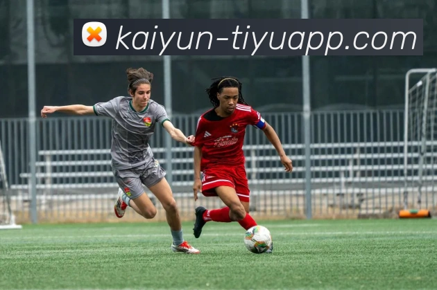 开云体育平台生态图