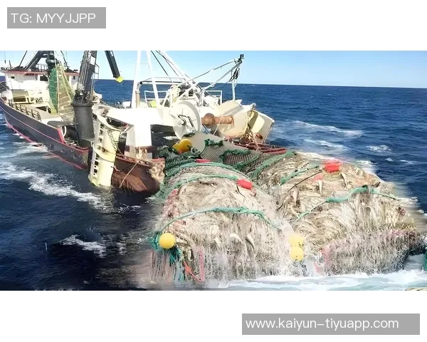 特拉维夫马卡比因球迷种族歧视事件遭罚款引发广泛关注